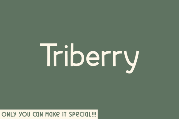 Triberry: A Natural Sans Serif Font for Modern Web Design